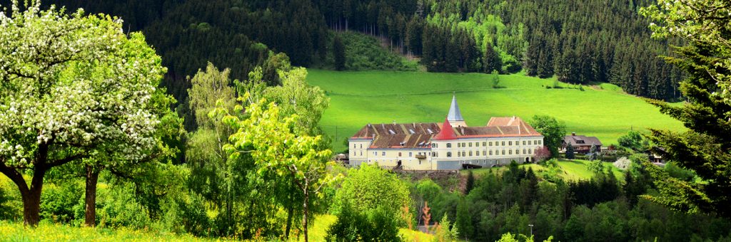 Schloss Wasserberg Gaal Steiermark Praxis Lebe.Mensch.